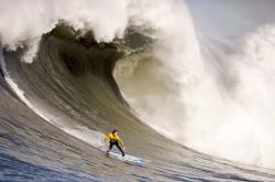 开云体育官方网站-切特东决接管书写新篇，吉林提前终结悬念映照活塞昔日荣光