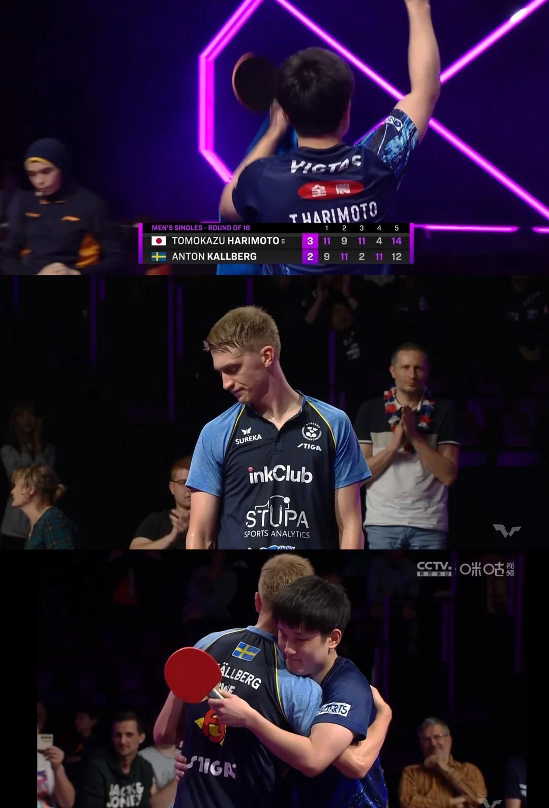 关于葡萄牙队力克波兰队,张本智和状态火热的信息 关于葡萄牙队力克波兰队,张本智和状态火热的信息